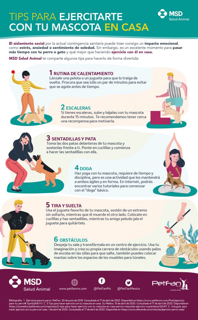 Ejercitarte con tu mascota en casa reduce estrés y ansiedad por confinamiento ante la contingencia