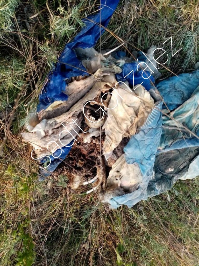 Macabro hallazgo de restos humanos en la presa Valsequillo