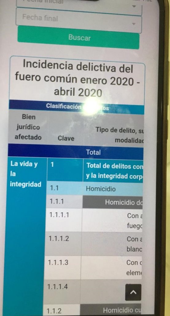 25 feminicidios en Puebla en el primer cuatrimestre de 2020; 8 de ellos en marzo-abril durante la contingencia Covid19