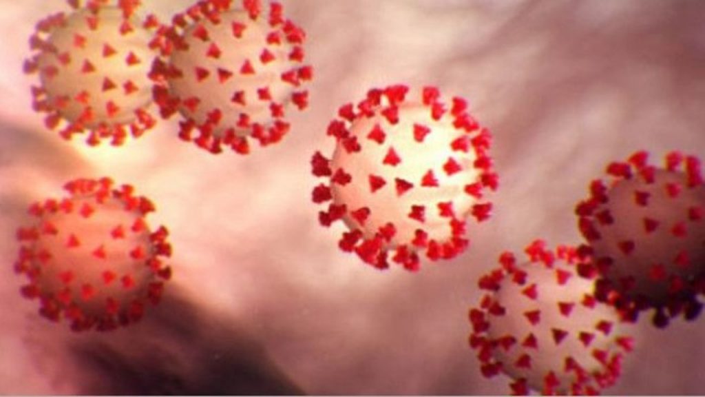 Los antisépticos nasales y orales Halodine® demostraron una rápida actividad antiviral contra el SARS-CoV-2 (COVID-19)