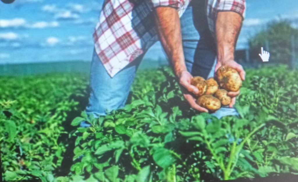 Trabajar en lo local, nueva estrategia del INIFAP para evitar la migración campesina