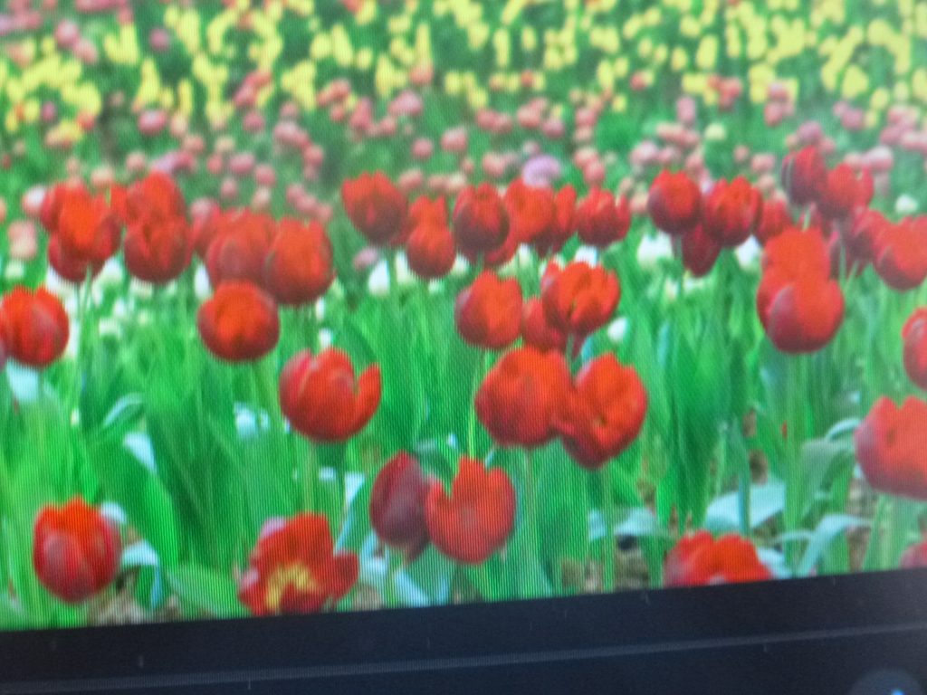 Productores de Atlixco piden apoyos para iniciar siembras