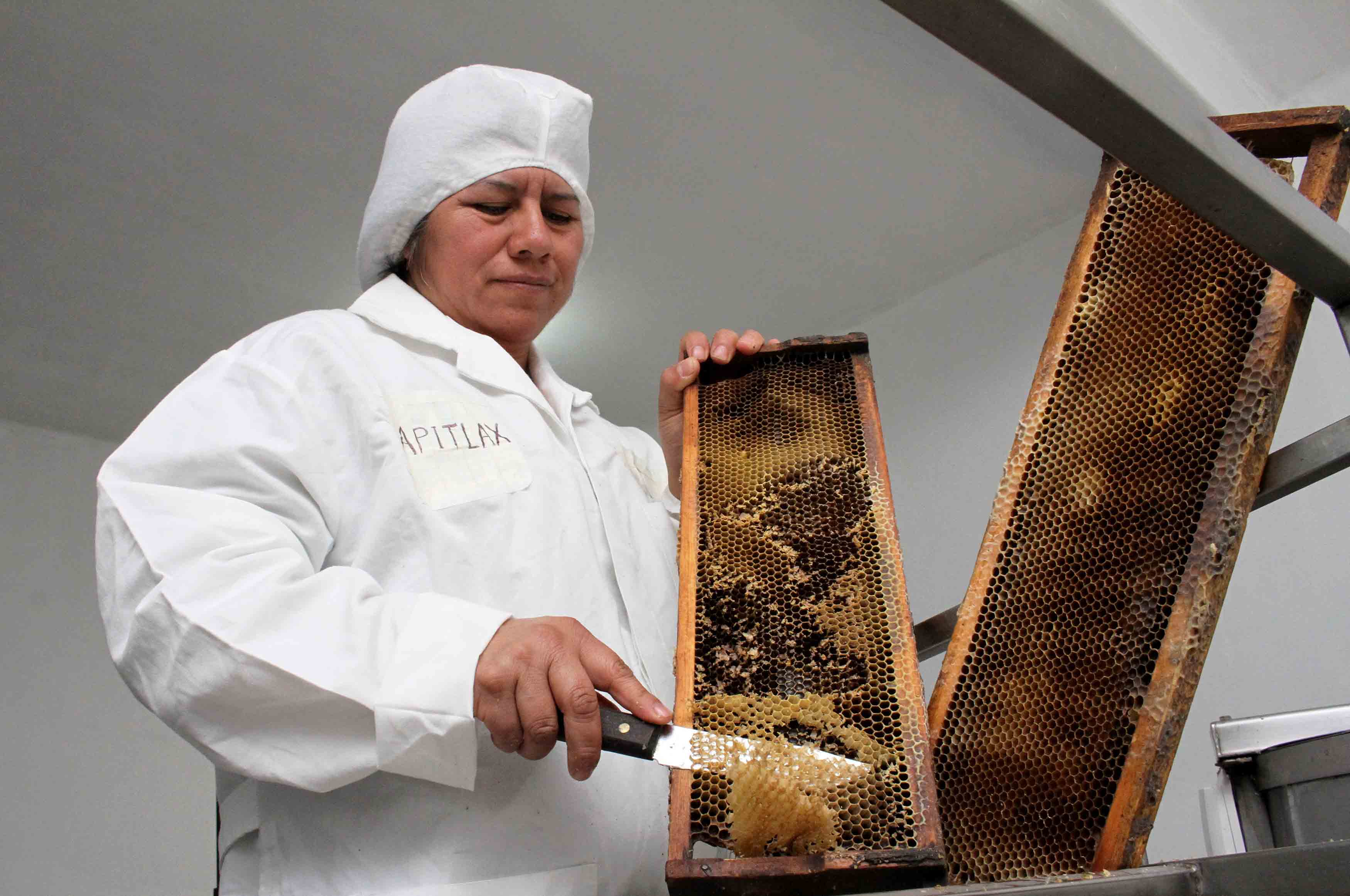Respalda SEFOA producción apícola en Tlaxcala