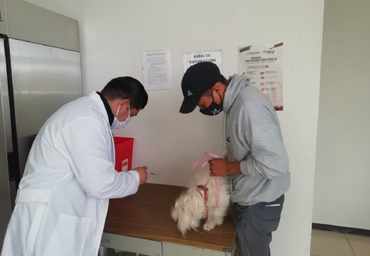 Brinda módulo canino servicio de vacunación bajo protocolos de seguridad sanitaria ante COVID-19.