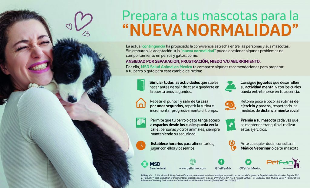 Prepara a tu mascota para el regreso a la “nueva normalidad”