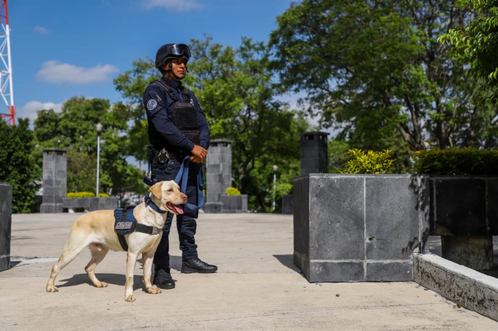 En Puebla más de 570 detenidos por delitos contra la salud: SSC