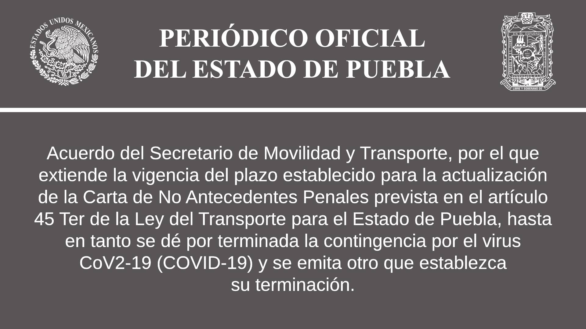 Secretaría de Movilidad y Transporte extendió plazo para que los conductores del servicio público entreguen su carta de no antecedentes penales