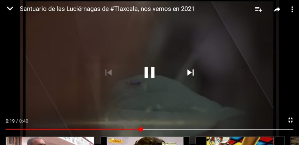 Video desde Tlaxcala: Gobierno estatal confirma que el Santuario de las Luciérnagas no estará abierto este año