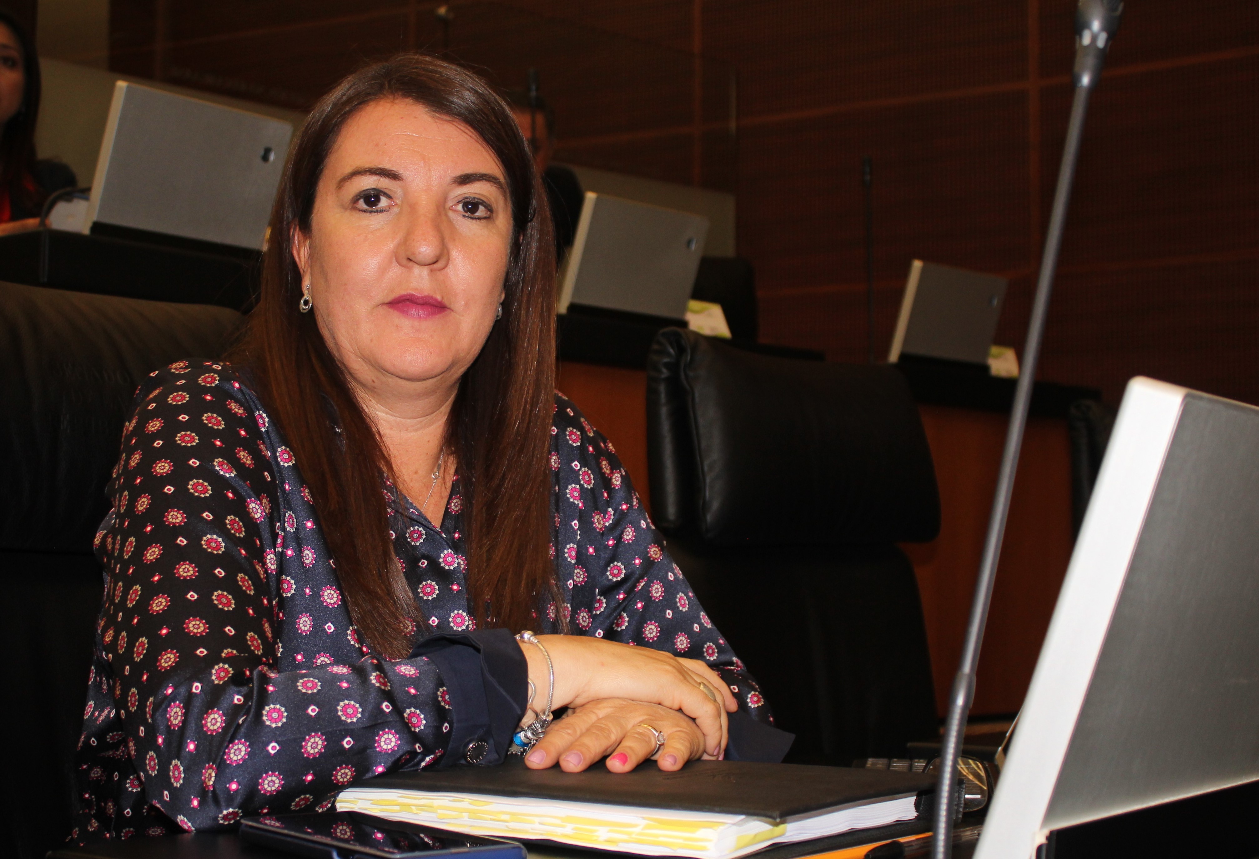 Presenta diputada federal Verónica Sobrado iniciativa a favor de los centros de justicia para las mujeres