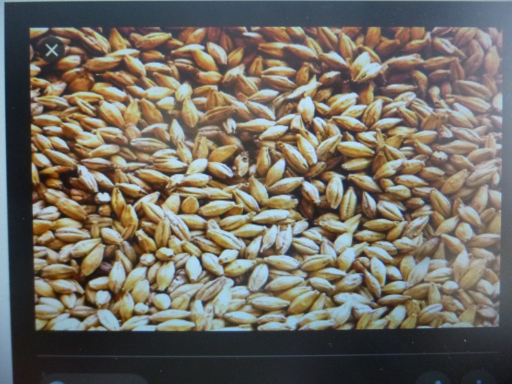 Los cebaderos pedimos apoyo a los gobiernos federal y estatal, afirma Osvaldo Godos