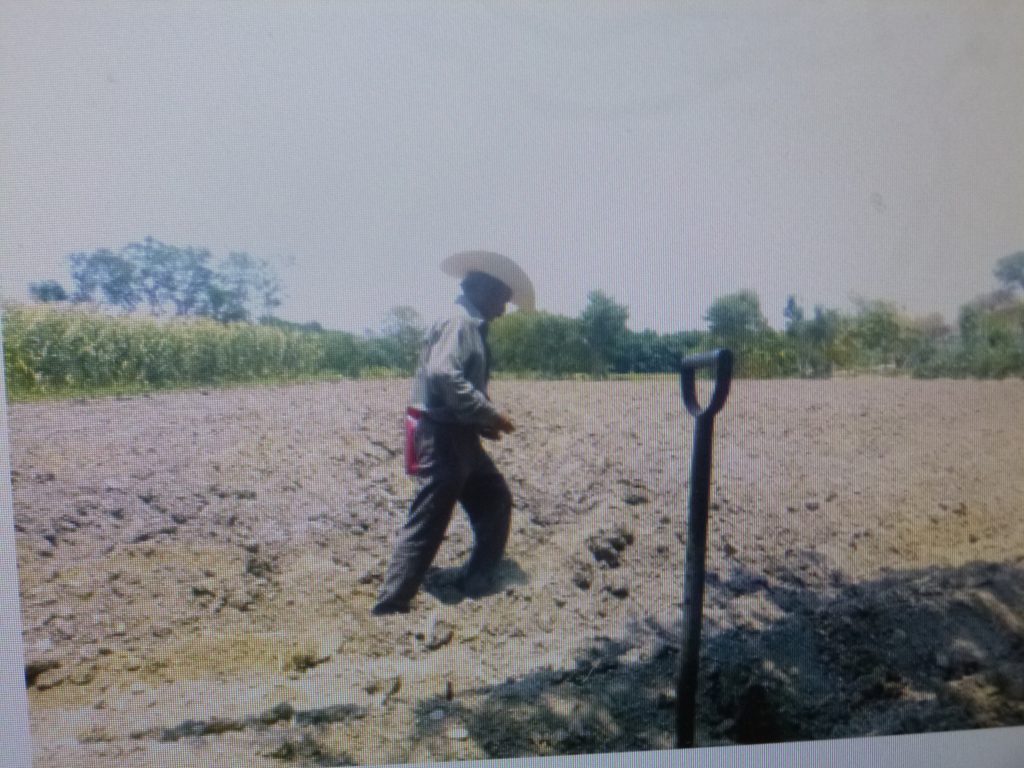 En Huehuetlán el Grande, los productores de hortalizas en problemas