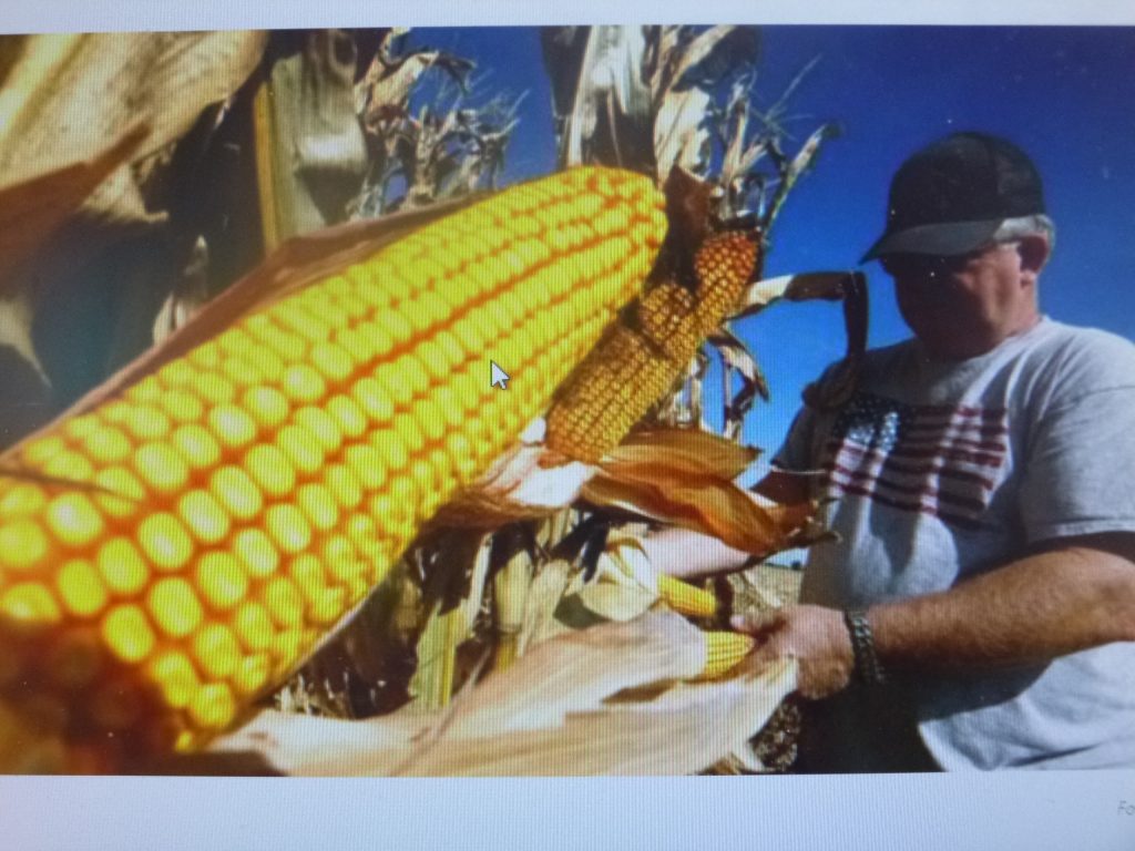 Al gobierno federal no le interesa el campo, denuncia dirigente