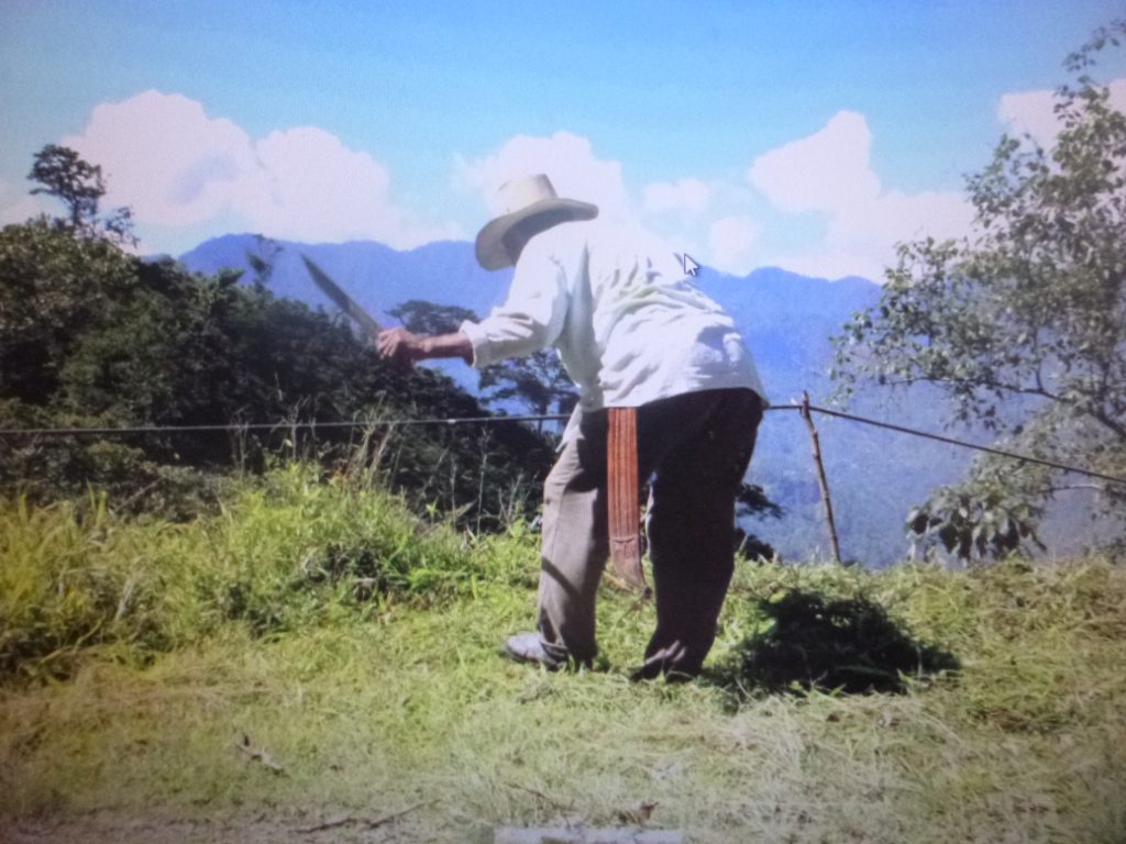 Las faenas son comunes en municipios de la Sierra Norte