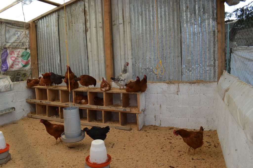 México, Salud y Economía: desafíos a los que nos enfrentamos por pandemia de Covid-19