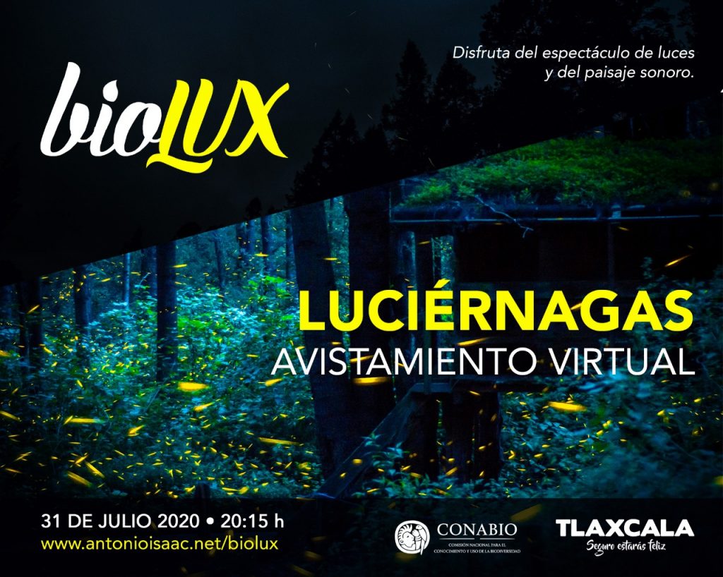 Desde Tlaxcala: Realizará Secture transmisión en vivo del avistamiento de las luciérnagas.