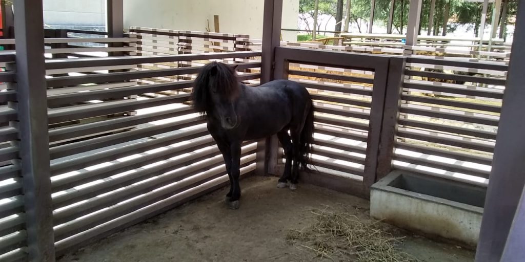 Exitoso programa de conservación en Flor del Bosque