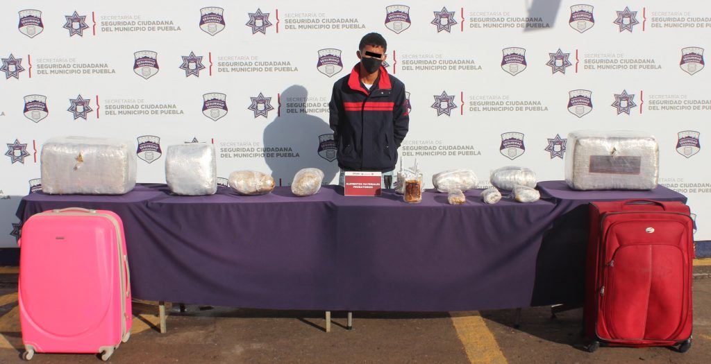 Aseguró Policía Municipal de Puebla cerca de 30 kilogramos de posible marihuana; un detenido