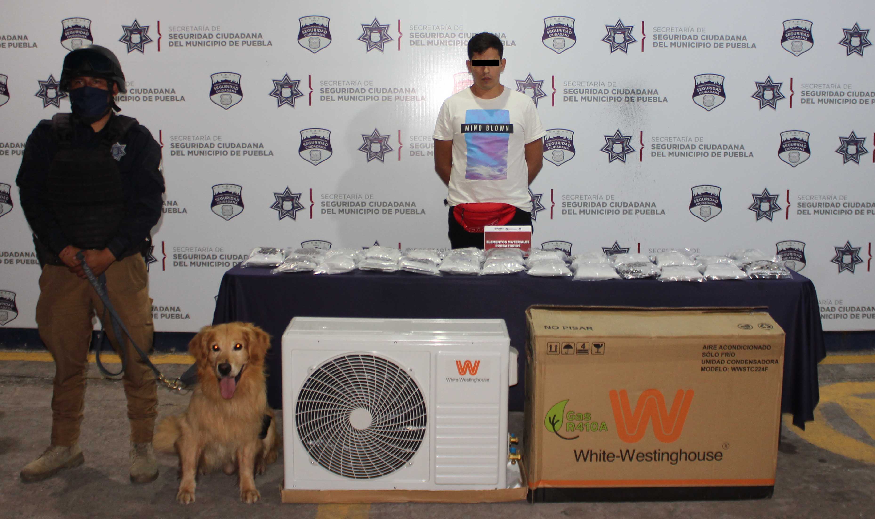 Aseguró unidad canina de la Policía Municipal de Puebla alrededor de cinco kilogramos de probable marihuana; hay un detenido