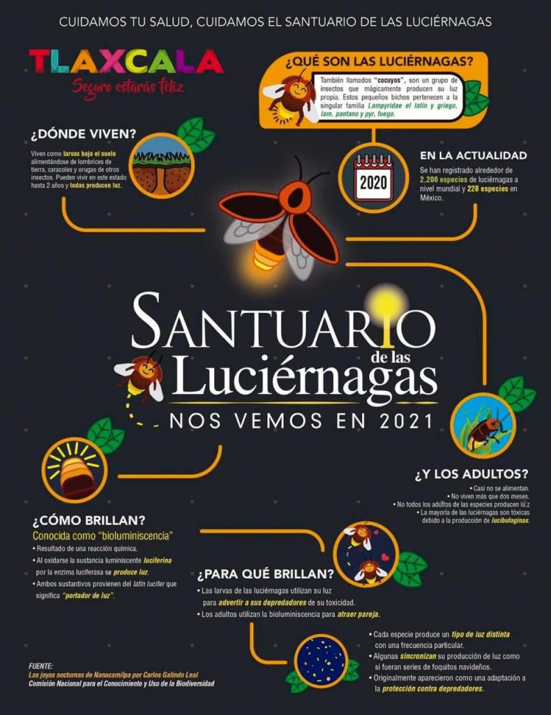 Lanza Secture la campaña “Cuidamos tu Salud, Cuidamos el Bosque”