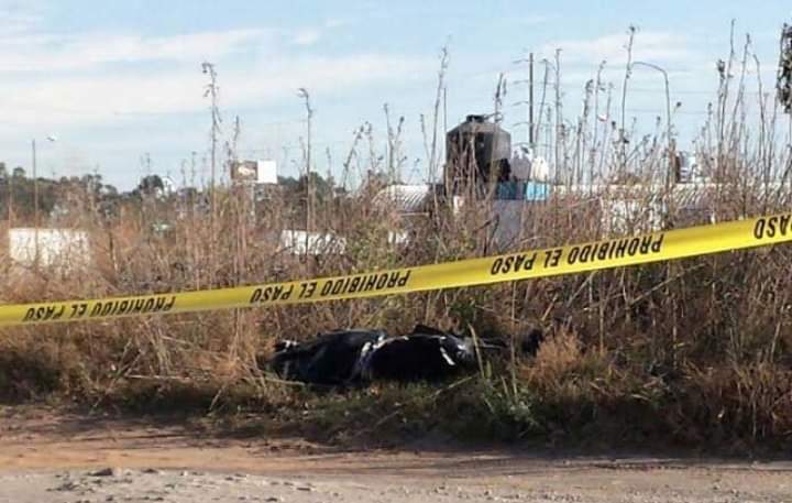 Encuentran cadáver embolsado en San Pedro Cholula