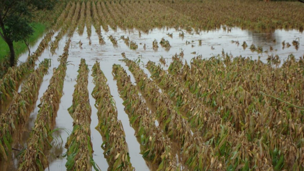 Piden diputados declarar a algunos municipios zonas de emergencia por las lluvias torrenciales