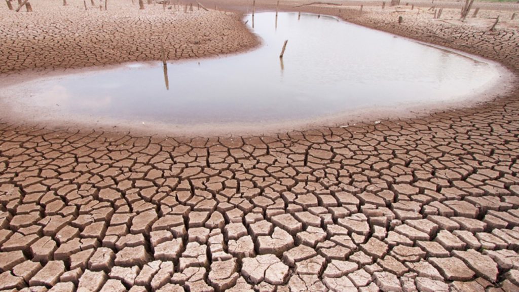 Cómo adaptarse al cambio climático en medio de la crisis del COVID 19