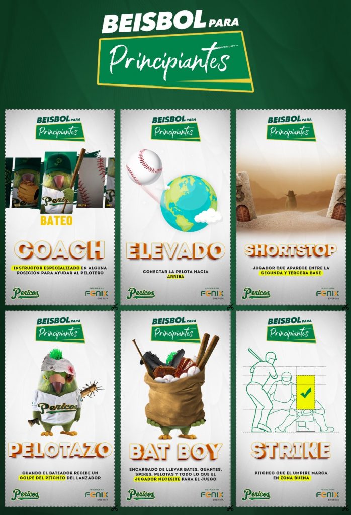 Pericos de Puebla – béisbol para principiantes 4