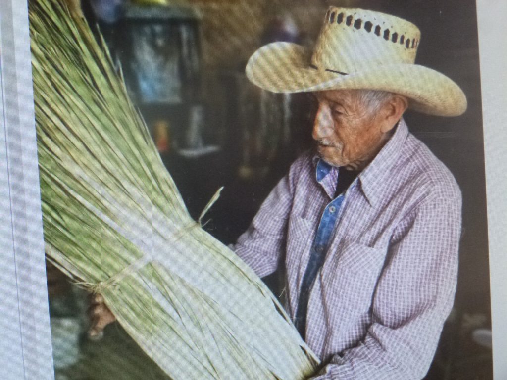 Artesanos de la palma piden apoyo, afirman que sus productos ya no se venden