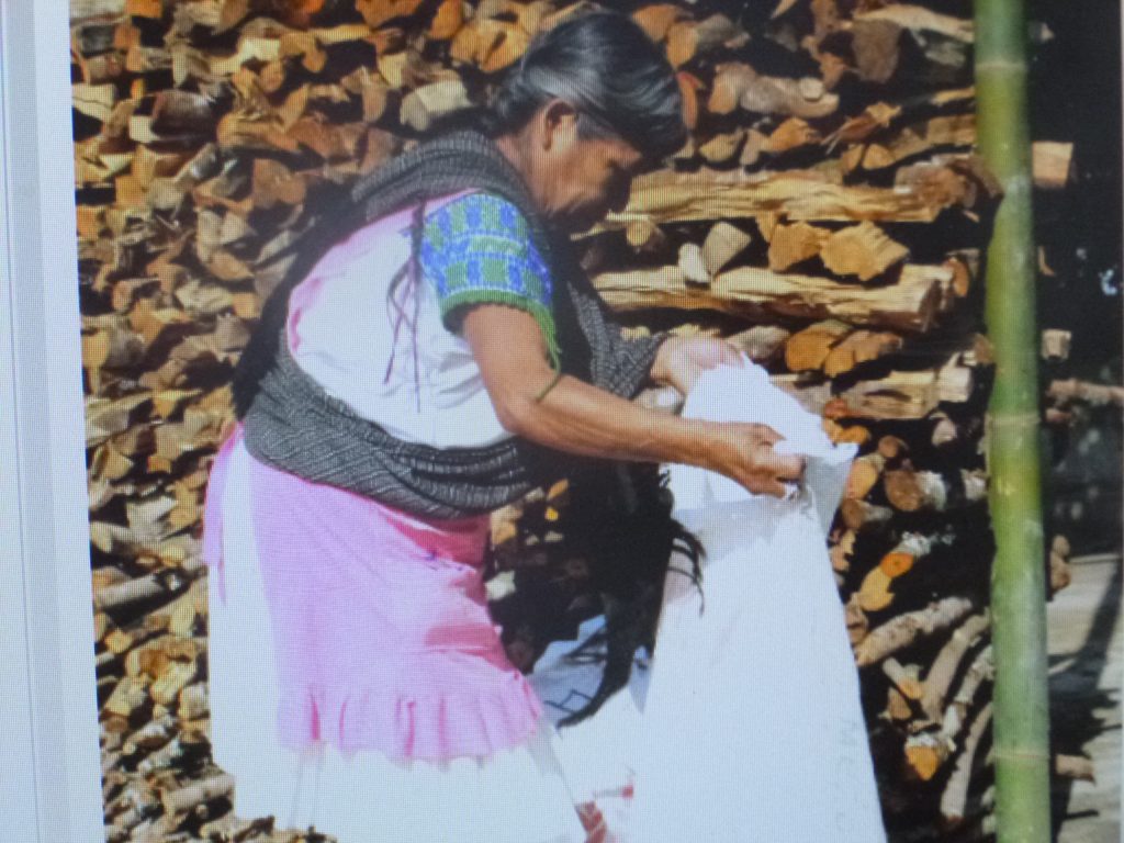 Afirman organizaciones campesinas que el T-MEC podría afectar a los productores mexicanos