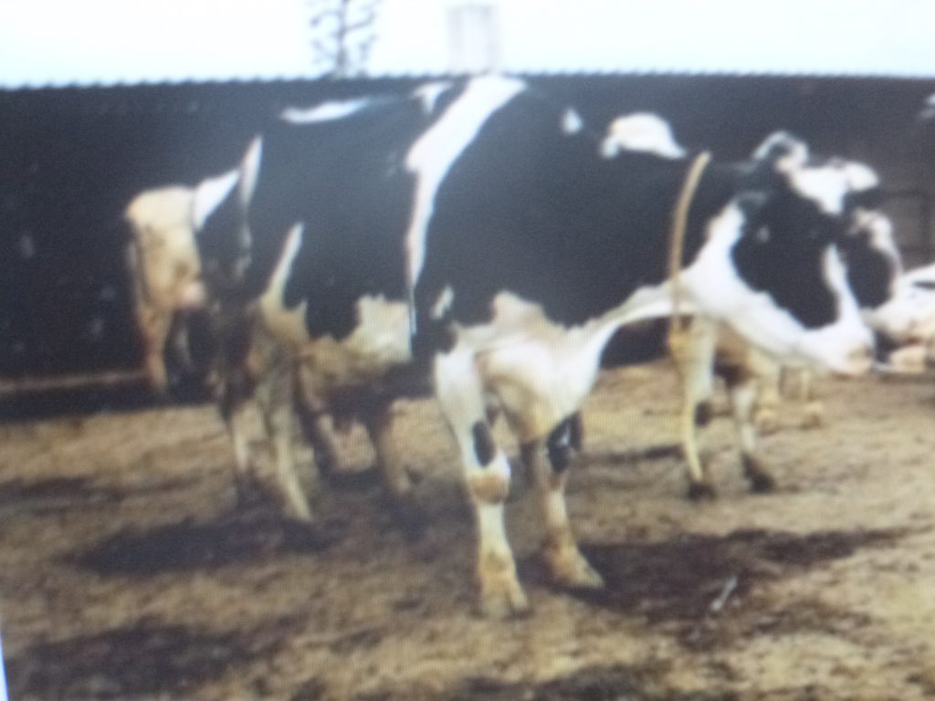 SDR invierte 84.3 millones de pesos en campañas fitosanitarias