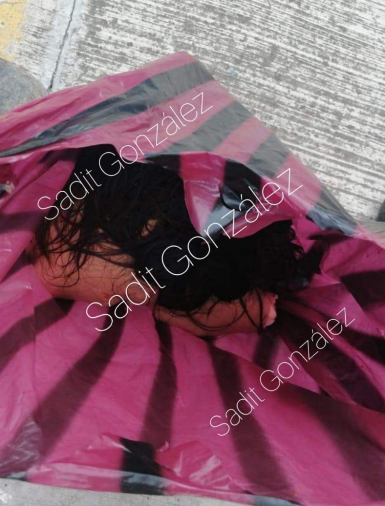 Hallan cabeza y manos humanas en bolsa en la Guadalupe Hidalgo