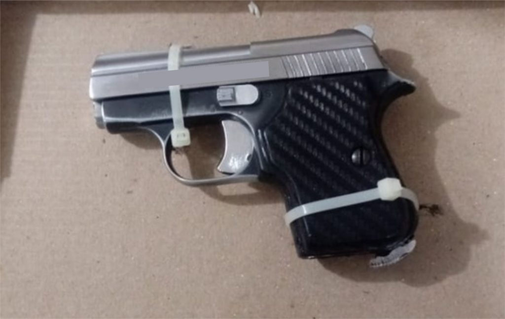 La SSC asegura a una persona y un arma de fuego en San Pablo del Monte