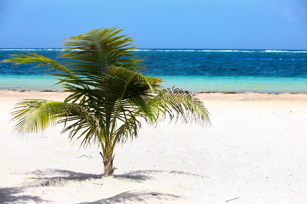 Playas de Puerto Morelos lucen impecables por trabajo en equipo: Laura Fernández