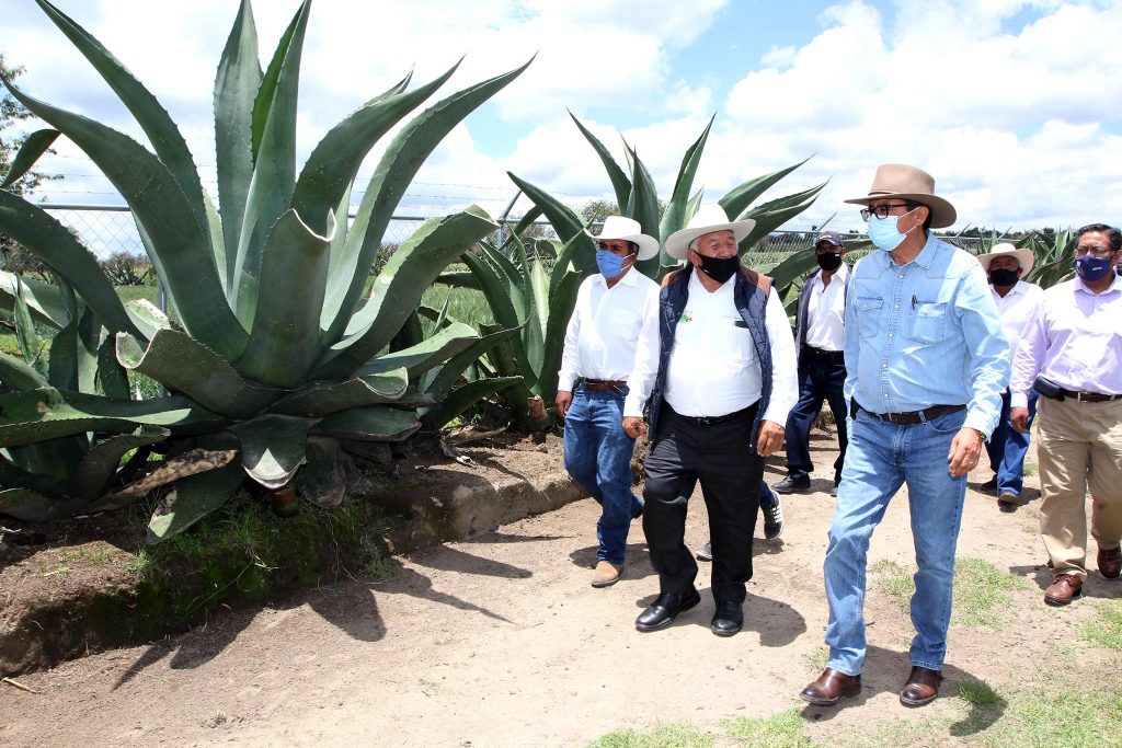 Entrega SEFOA proyecto integral de maguey en Nanacamilpa.