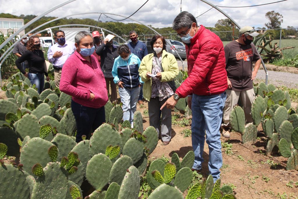 Entrega SEFOA proyecto de nopal y asistencia técnica en Nanacamilpa.