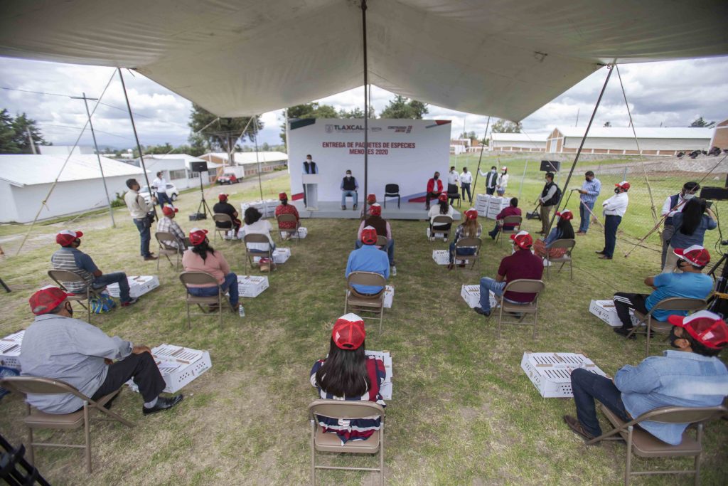 Marco Mena entrega 4 mil paquetes de aves de especies menores a familias tlaxcaltecas