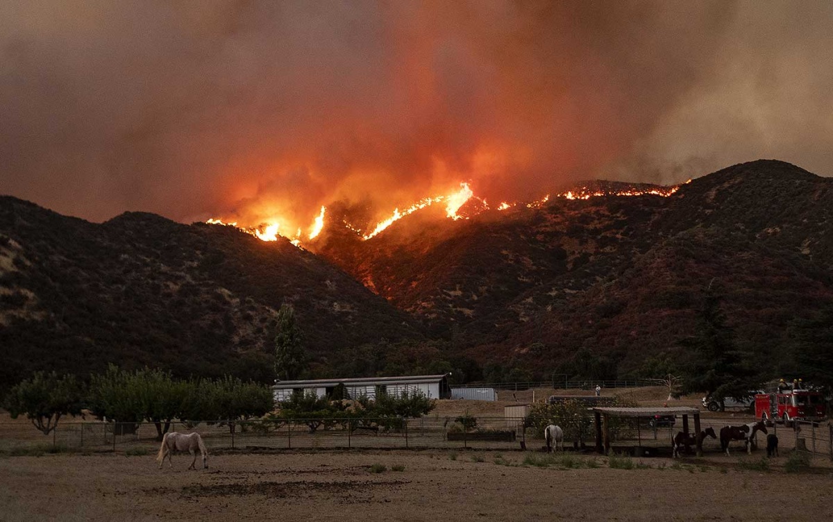 Arde sin control incendio forestal en California