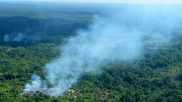 Brasil dejará de combatir la deforestación en el Amazonas