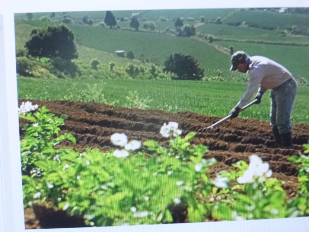 Tendrá consecuencias en el campo la desaparición de los servicios técnicos agropecuarios, acusó el cenecista Pascacio Taboada