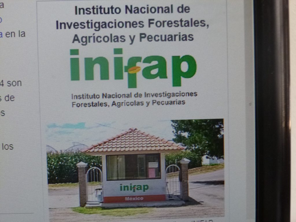 Los materiales que desarrolla el INIFAP compiten con las grandes empresas mundiales, afirma investigador