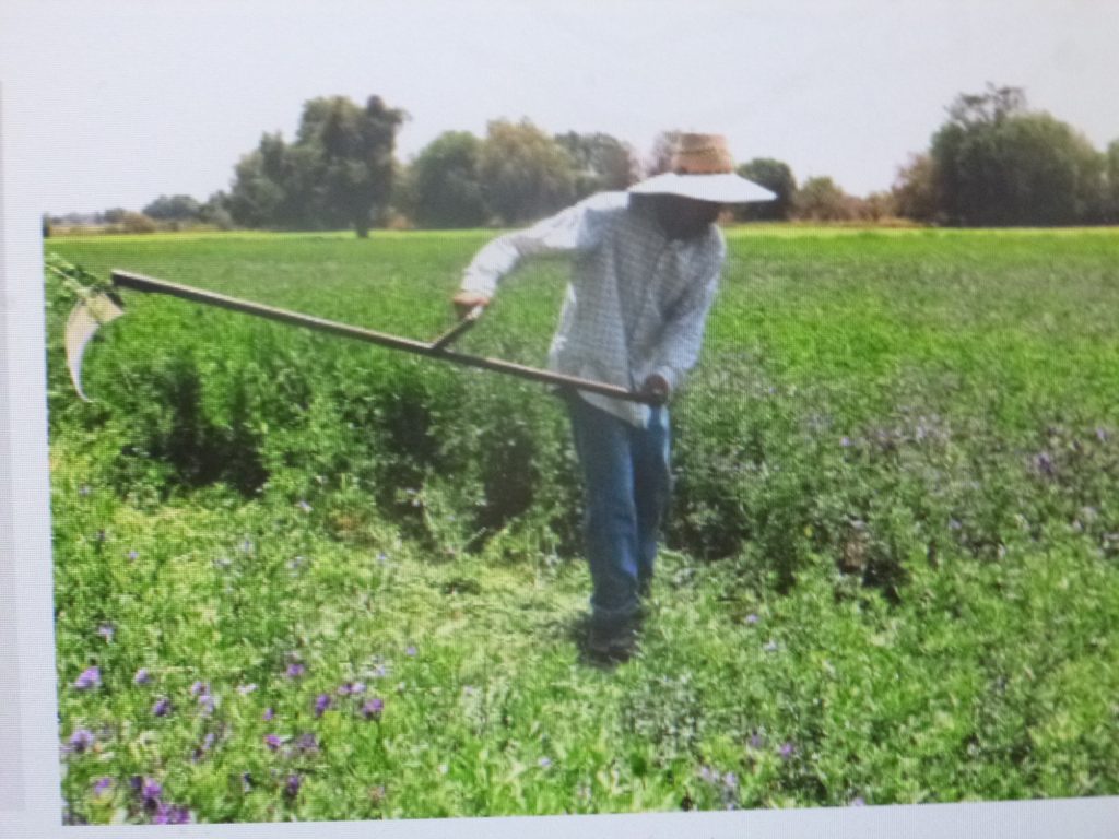 El gobierno del estado tiene un fondo para proteger a los productores ante siniestros