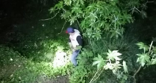 Video desde Puebla: Cae a barranca con su auto y muere en bulevar Hermanos Serdán
