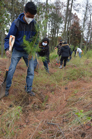CGE inició reforestación en el Parque Nacional Malinche