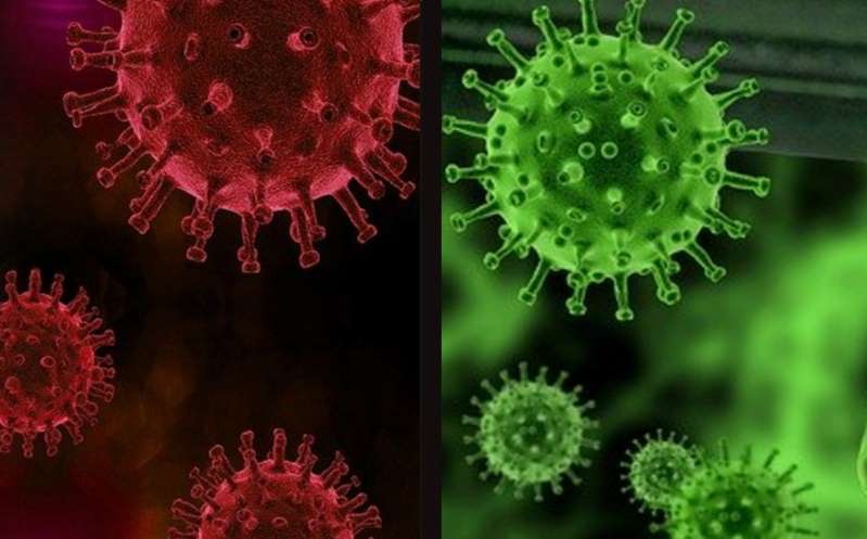 Hallan mutación del coronavirus en EU; ¿es más peligroso?