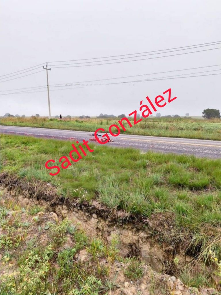 Atropellado y muerto un hombre en la carretera de la Venta, en Nopalucan