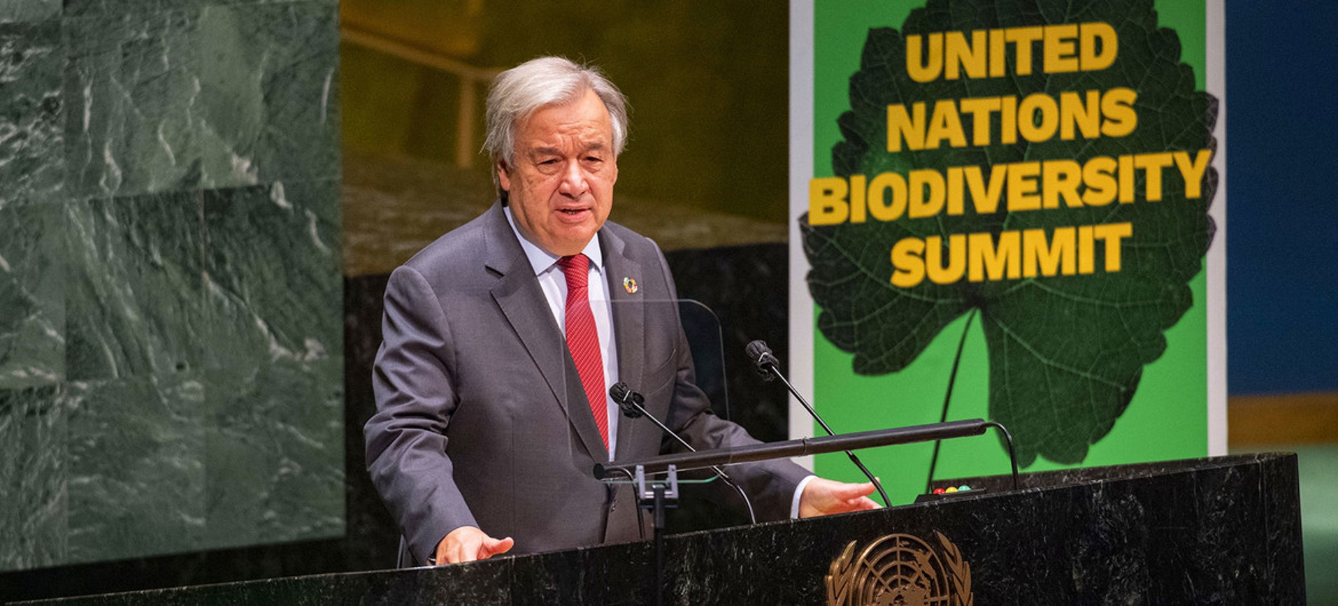 Un acuerdo mundial para proteger la biodiversidad y evitar otra pandemia, el llamado de los líderes mundiales