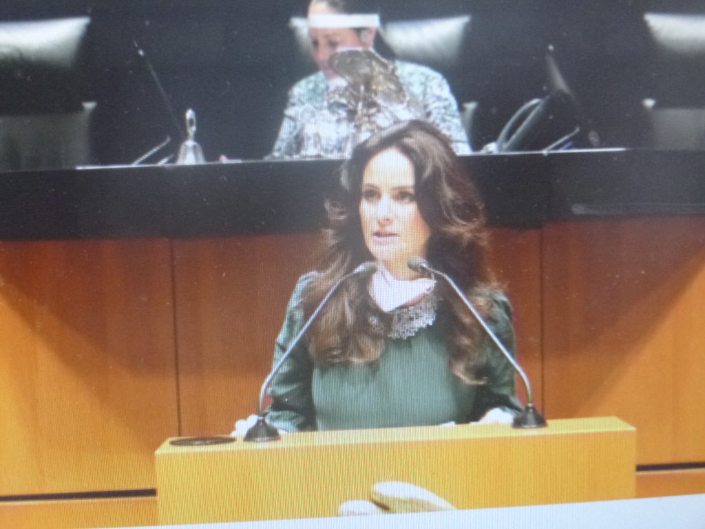 Por reducción al presupuesto se pone en riesgo la protección de los recursos naturales del país, advierten senadores del PT y del Verde