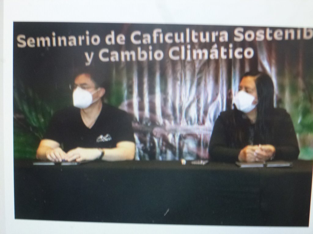 Puebla produce café de alta calidad