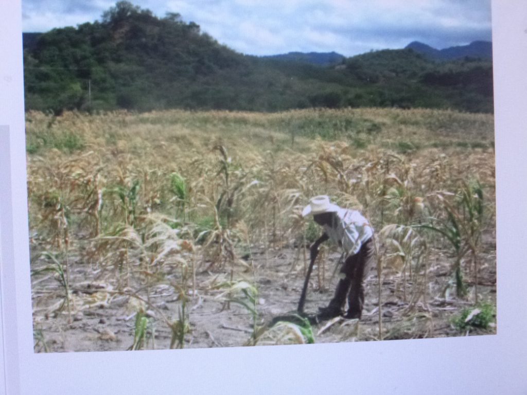 Ha empeorado la relación del gobierno federal con los productores, afirma dirigente