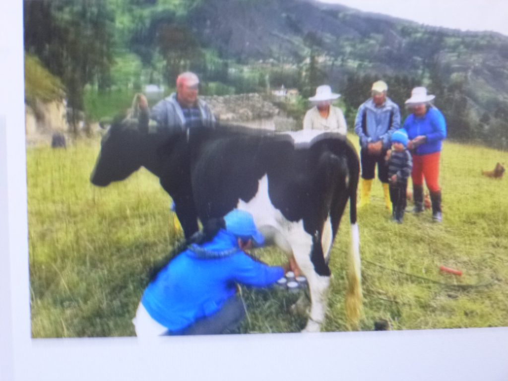 Productores de leche denuncian irregularidades de SEGALMEX en el pago del producto